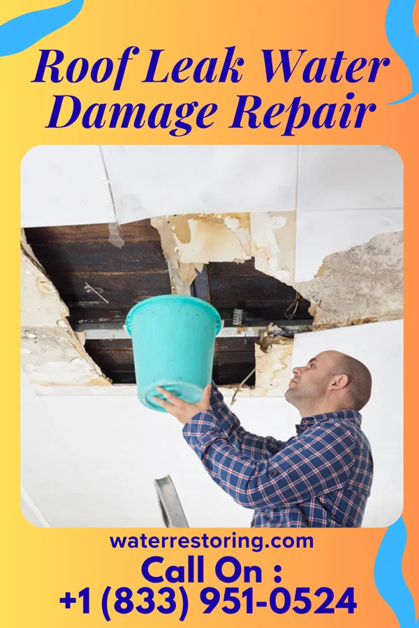Roof Leak Water Damage Repair in Gold Canyon, AZ
